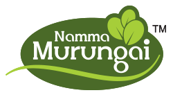 Namma Murungai