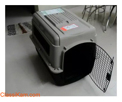 Dog Cage Only 2 months old and Its Size is 32 inch