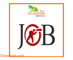 Few Hours of Work with Decent Pay