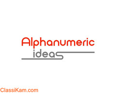 Alphanumeric Ideas Private Limited