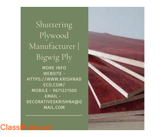 Shuttering Plywood Manufacturer | Bigwig Plywood