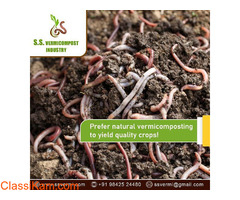 Vermicompost in Coimbatore - Contact us @ +91 9842 688456
