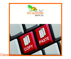 Web Promotion Executive,Online Promotion