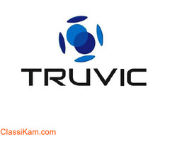 Truvic Online Services