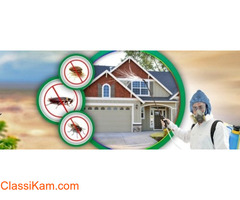 Professional pest control services in Bangalore