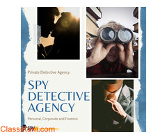 Accredited Detectives in Noida