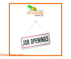 Money At Home: Work for a Few Hours