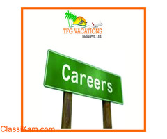 Opportunity To Establish The Career In Digital Marketing