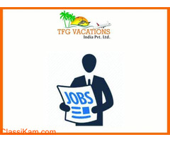 Part Time Jobs Offer By Tourism Company