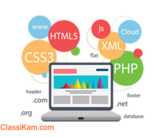 Web Development Services Company