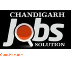 Chandigarh jobs solution - Sector 34