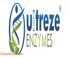 Enzyme Manufacturers In India | Enzyme Exporters india