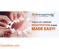 What is a Public Limited Company?