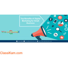 SEO Company in Delhi