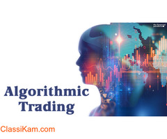 Low cost algo trading software