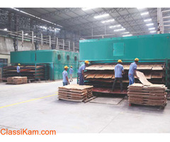 Premium Quality Shuttering Plywood Exporters