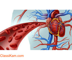 Best Vascular Surgeon in India - Devadoss Multispeciality Hospital