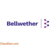 Real Estate Sales and Marketing Company