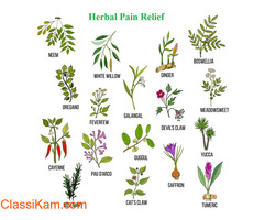 Ayurvedic Piles Medicine