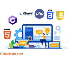 Custom application development services