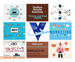 Best Digital Marketing Company in Noida - Vindhya Process Solutions