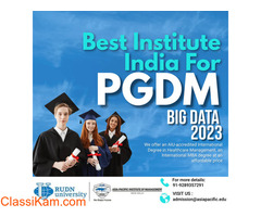 Best institute India for PGDM Big Data