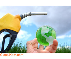 Lipase Enzyme Manufacturer, Exporter and Supplier in India