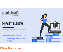 SAP EHS Certification Online Training Course