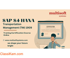 SAP S4 HANA Transportation Management (TM) 1909 Training