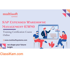 SAP Extended Warehouse Management (EWM) Training Certification Course