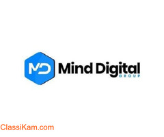 Best Web Development Company India