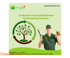 Services | Organic Green | Out Door Living for next generation