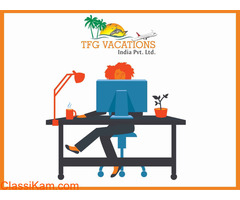 Back Office Executive