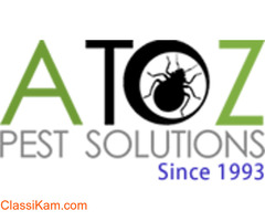 Bed Bug Control Bangalore