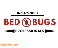 Pest Control Service in Pune