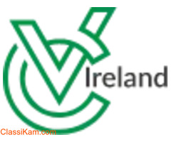 Irish Cv Writing Service