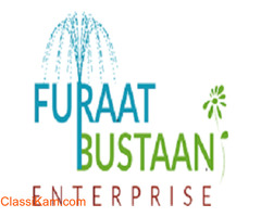 Submersible Led Lights For Fountains