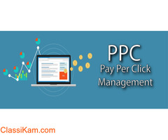 PPC Management Company | PPC Management Service