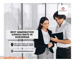 Best immigration consultants in Gurugram - Nationwidevisas