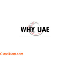 Why UAE - Best Blog and Article Writers in UAE