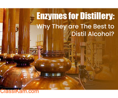 Enzymes for Distillery
