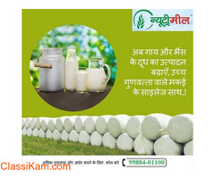 Corn silage For Sale