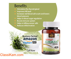 Wheat grass capsule is a storehouse of vitamins