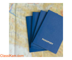 US E2 Investor Visa | US Citizenship by Investment | Nulima