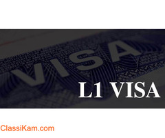 L1 Visa Application Process | US Business Visa Program | Nulima