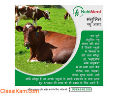 Silage Supplier in Punjab