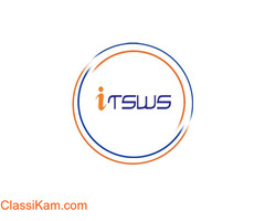 Wordpress Website Development Services