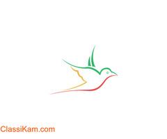 Freelancewebdesigner - Web Designers in Kerala, India