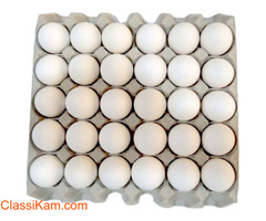 Farm Fresh Eggs 30 Pieces | Shop Online at Wholesale Price
