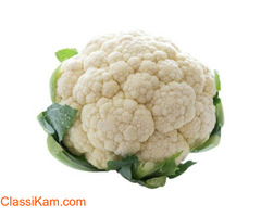 Best Price Farm Fresh 1 piece Cauliflower | Approx 400 – 600 g |
